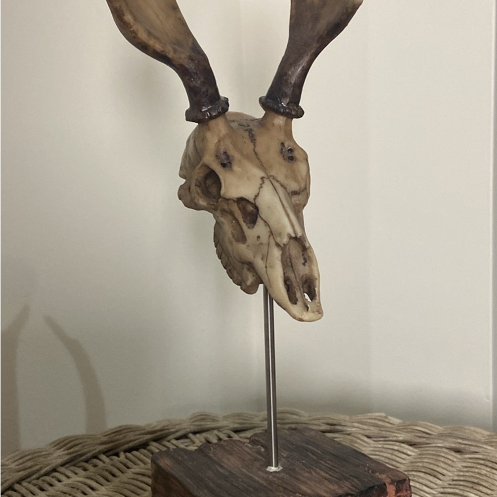 Rustic Antelope Skull Sculpture